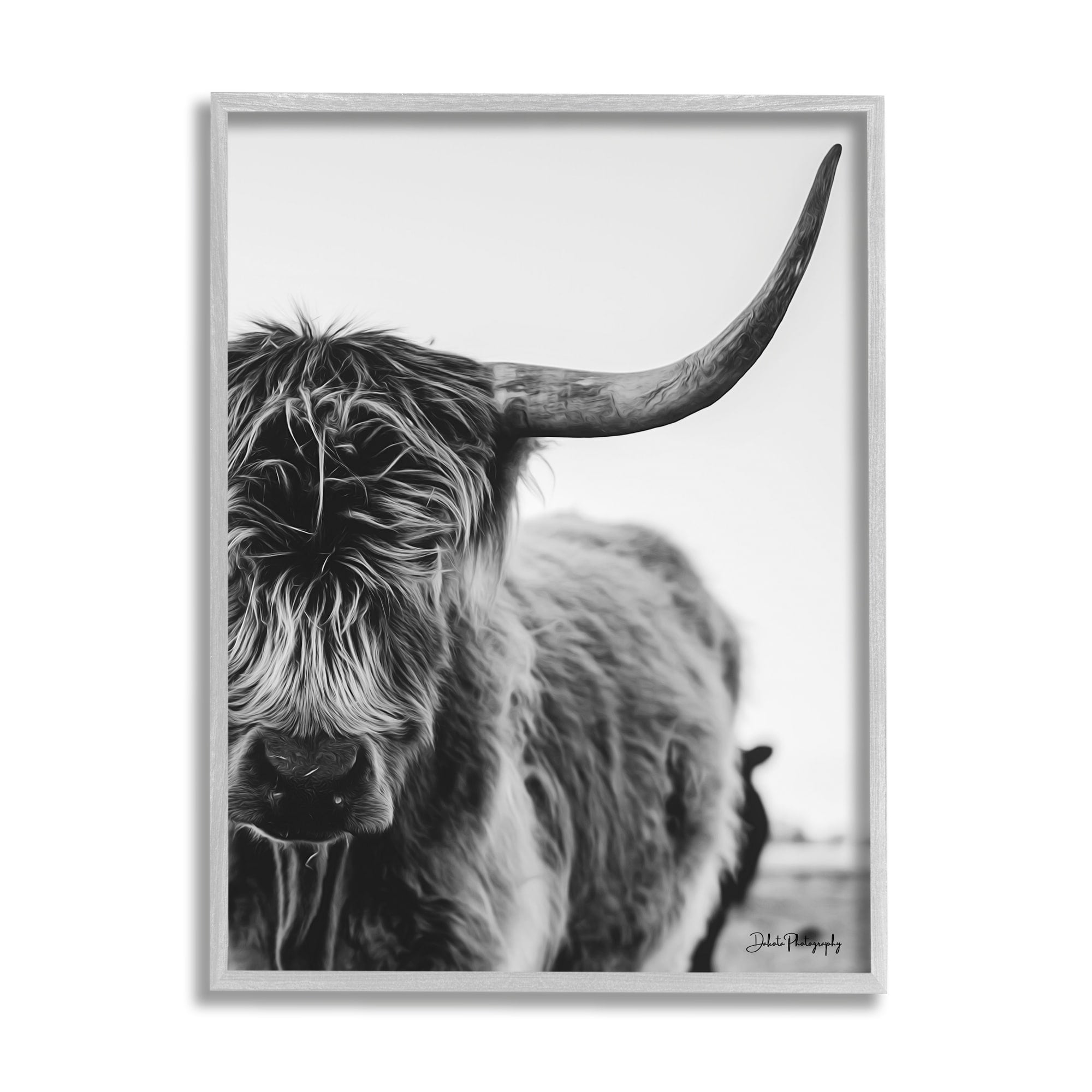 Stupell Industries Highland Cow Cattle Horn Close Up Serene Photography Photograph Gray Framed Art Print Wall Art, Design by Dakota Diener
