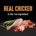 thumbnail image 4 of Crave High Protein Adult Dry Cat Food - Grain Free, Chicken, 4 of 5