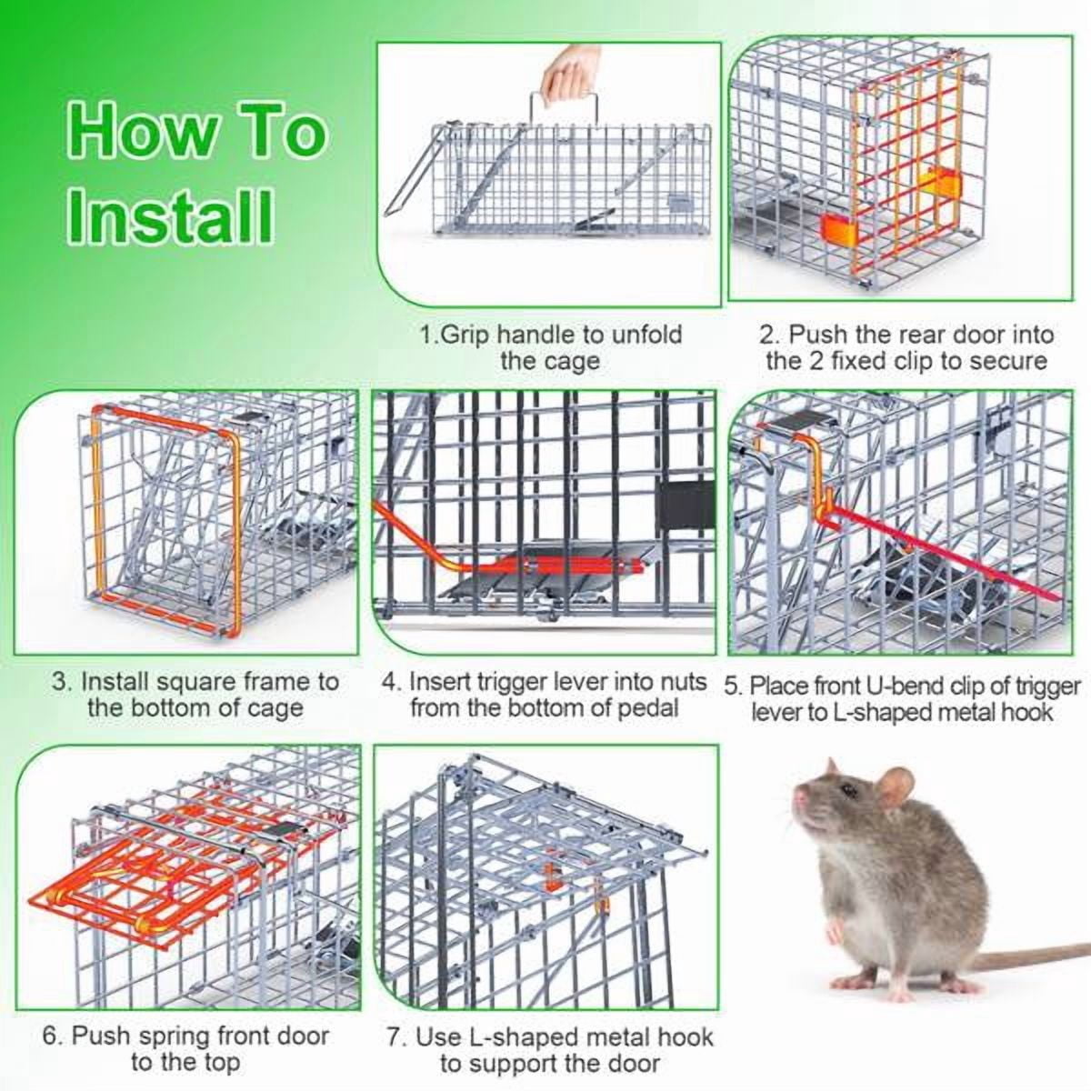 imerelez 2-Pack Humane Mouse Traps – Instant-Lock One-Way Door, 2 mm Galvanized Metal, Safe for Kids & Pets, Indoor/Outdoor Reusable Catcher, Easy-Set & Release