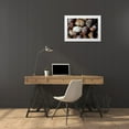 thumbnail image 3 of Vizvary, Susan 32x23 White Modern Wood Framed Museum Art Print Titled - Spiral Shells, 3 of 4