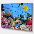 thumbnail image 1 of Designart - Colonie Corallienne Récif Corallien - Mer & Rive Photographique Nautique sur Toile Enveloppée, 1 of 2