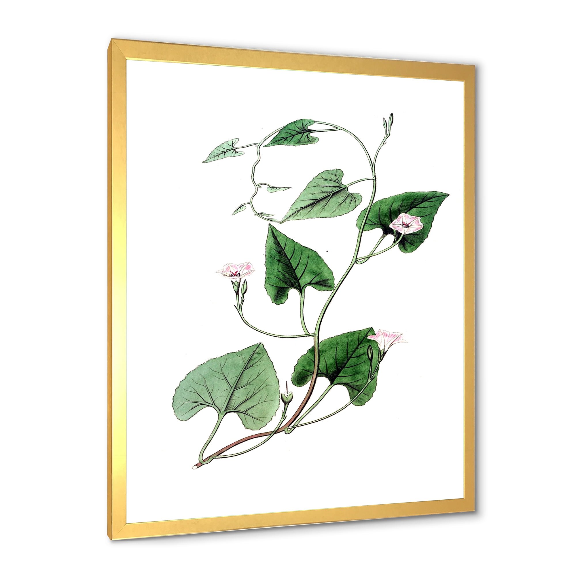 Designart 'Ancient Green Leaves Plants IX' Traditional Framed Art Print