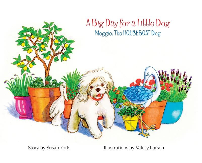 A Big Day for a Little Dog Meggie, The HOUSEBOAT Dog (Hardcover