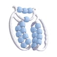 thumbnail image 3 of 20 ruedas Fascia Relax Roller rodillo puntos de presión Manual brazo pierna cuerpo Azul, 3 of 8