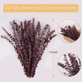 thumbnail image 2 of GoXteam 20pcs Red Dried Eucalyptus Stems, Natural Eucalyptus Branches for Shower Hanging, 17" Preserved Plants Steam Shower for Women and Men, Relaxation Set, Mother's Day, 2 of 7