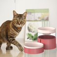 thumbnail image 4 of Tazones para Mascotas de Plástico, Alimentador de Mascotas Doble , Pequeño Perro Medio Gato Alimentación de Agua para Beber Bowls Holder F - Rosado Yinane Gatos Beber Cuencos, 4 of 8