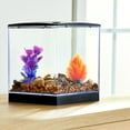 thumbnail image 3 of Aqua Culture 0.75G Plastic Aquarium, 3 of 8