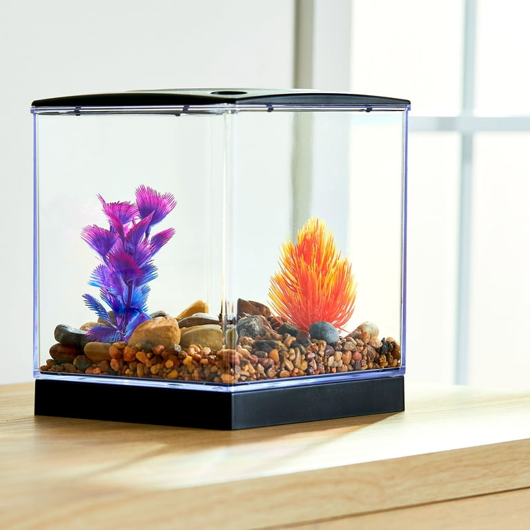 Aqua Culture Plastic 0.75 Gallon Aquarium with Feeding Door
