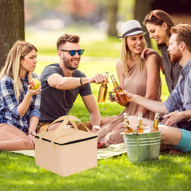 Fiudx Bolsa Térmica para Pasteles, Almacenamiento de Alimentos, Bandeja Portátil para Pizza, Hielera Compacta para Almuerzos, Conservación de Alimentos para Picnic, Tela Resistente, Tamaños de 4 a 10