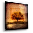 thumbnail image 2 of Epic Art 'For the Love of Trees III' by Lightbox Journal, Acrylic Glass Wall Art, 36"x36", 2 of 8