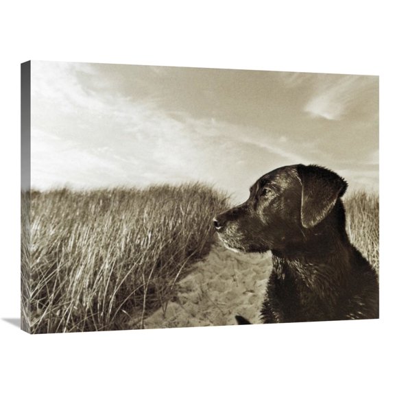 Global Gallery's 'At the Beach' By Jim Dratfield Stretched Canvas Wall Art