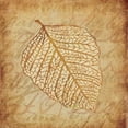 thumbnail image 3 of Emery, Kristin 12x12 Black Modern Framed Museum Art Print Titled - Gold Leaves II, 3 of 5