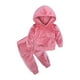 thumbnail image 1 of Sudadera Para Niños Pequeños, Telas De Terciopelo Para Bebés, Abrigo, Pantalones, Conjunto De 2 Uds, Suéter Para Niños, Niñas, Rosa Odeerbi  LM103-1430, 1 of 9