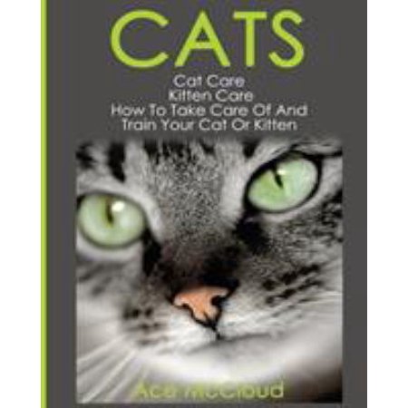 Complete Guide to Cat Care & Kitten Cats: Cat Care: Kitten Care: How To Take Care Of And Train Your Cat Or Kitten (Paperback)