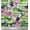 Pear Green, variant on Soimoi Cotton Duck Fabric Stripe,Butterfly & Rose Floral Decor Fabric Printed Yard 42 Inch Wide