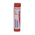 thumbnail image 3 of Boiron Hamamelis Virginiana 30CH | Homeopathic Medicine | 4g Multi-Dose Tube (80 pellets), 3 of 4