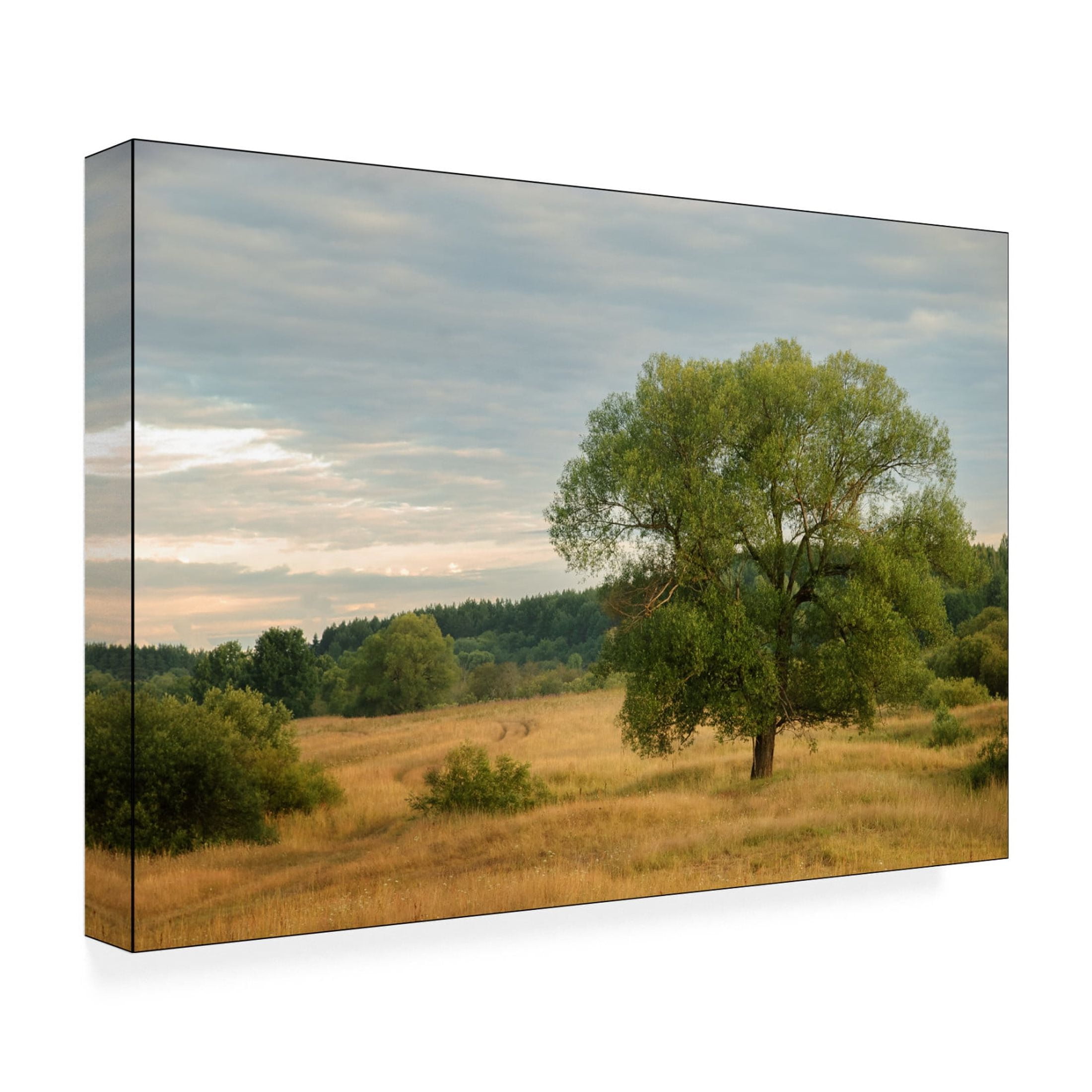 Canvas Wall Art - Yury A Melnikov 'A Summer Day In The Floodplain Of A Northern River' Wall Art for Living Room, Bedroom, or Office Décor by Trademark Fine Art - 19 x 12 Inches