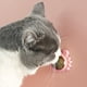 thumbnail image 4 of Giratorios para Gatos Con Lamer Bocadillos Hierba Gatera Molar Gatitos () Rosa, 4 of 9