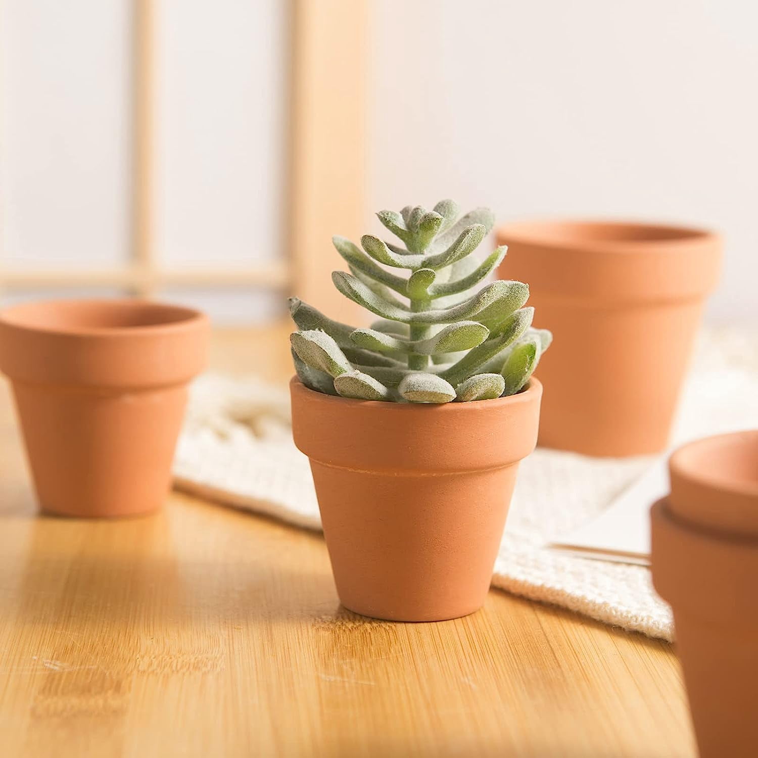 18 Pack Mini Terra Cotta Pots with Drainage Holes, Small Clay Flower Pots for Indoor/Outdoor Plants,Craft Decoration Garden Gift (2 inch )