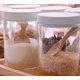 thumbnail image 3 of 15 Pack Mini Wood Spoon with Short Handle, Perfect for Small Jars of Jam, Spices, Condiments, Seasoning, Sugar, Honey, Coffee, 3 of 4