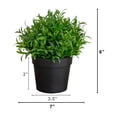 thumbnail image 3 of 6in. Artificial Grass Plant in Black Pot - Set of 2, 3 of 9