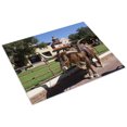 thumbnail image 3 of Print: A Longhorn Cow, Awaiting A Roundup (For Tourists' Benefit) In The, 3 of 4