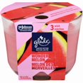 thumbnail image 1 of 3 Wick Candle Stay Cool Watermelon Limited Edition, 1 of 1
