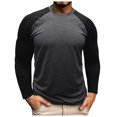 thumbnail image 2 of Tisuna Mens Fall T-Shirts Lightweight Crew Neck Tops Men Color Blocking Shirts For Daily Wear Size L, 2 of 5