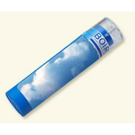 - Arnica Montana 6C MD Boiron 1 Tube Pellet