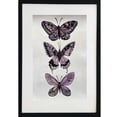 thumbnail image 1 of Cuadro decorativo mariposas LUNE ART GALLERY AnimalArt pintura a mano marco negro vidrio, 1 of 5