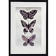 thumbnail image 1 of Cuadro decorativo mariposas LUNE ART GALLERY AnimalArt pintura a mano marco negro vidrio, 1 of 5