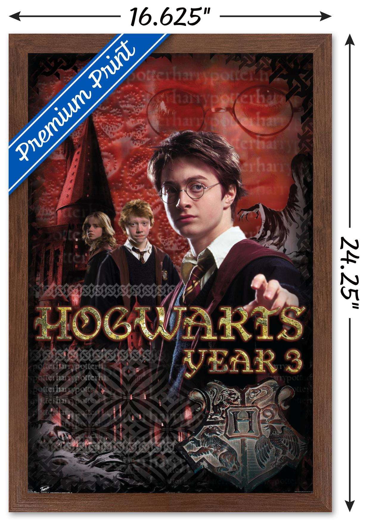 Harry Potter and the Prisoner of Azkaban - Year 3 Wall Poster, 14.725" x 22.375", Framed