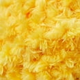 thumbnail image 4 of The Pioneer Woman Sherpa Chenille Yellow Yarn, 58 Yards, 4 of 6