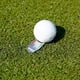 thumbnail image 2 of Herramienta Reparación Divot Golf Marcador Pelota Mini, 2 of 9