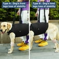 thumbnail image 4 of Coodeo Dog Lift Harness, Pet Support & Rehabilitation Sling Lift Adjustable Padded Breathable Straps for Old, Disabled, Joint Injuries, Arthritis, Loss of Stability Dogs Walk (Black, S), 4 of 6