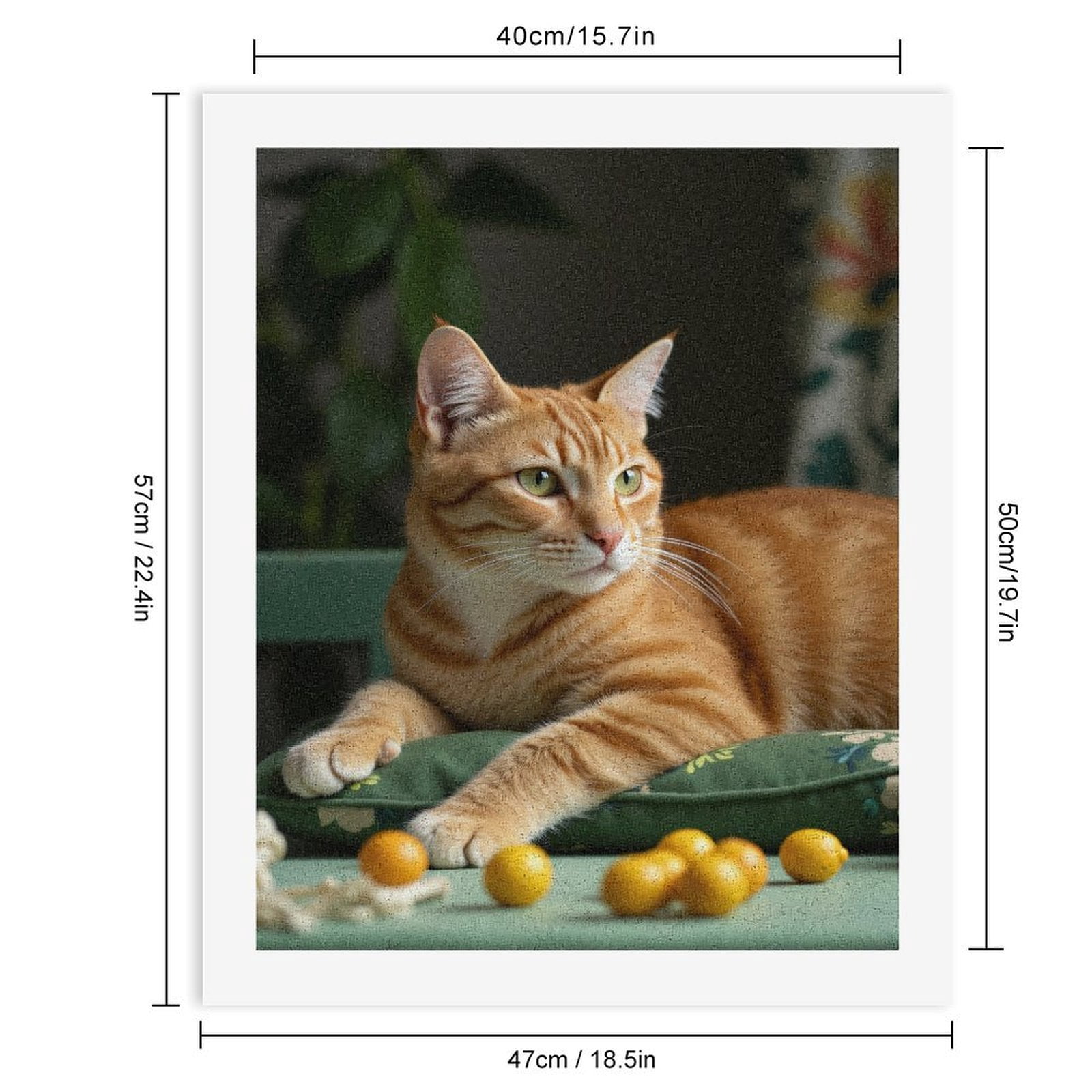 Paint By Numbers Kit for Adults Beginner - DIY Orange Cat Relaxing Green Pillow Canvas Painting Kits for Adults, Frameless Paint By Number for Adults for Home Wall Decor 16x20 Inch