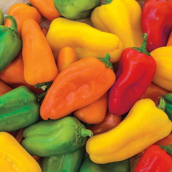 Yum Yums Hybrid Mini Bells Sweet Pepper Seed Mixture, Approx. 15 seeds per package