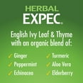 Naturade Herbal Expec Expectorant with Soothing Herbs Liquid, 4.2 Oz