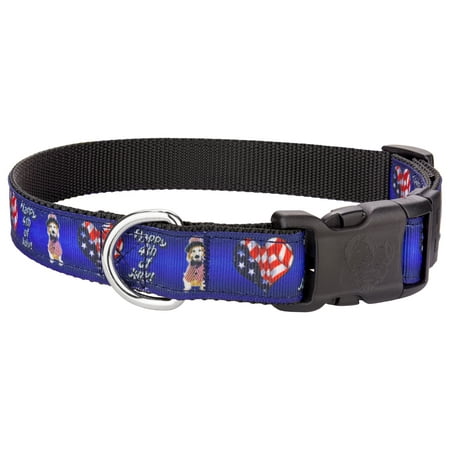 Country Brook Design® Deluxe 4th Of July Ribbon Dog Collar Limited Edition