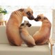 thumbnail image 3 of 1 almohada de peluche de perro de imitación 3D de 70 cm para sofá, banco, casa o hotel (sabueso), 3 of 6