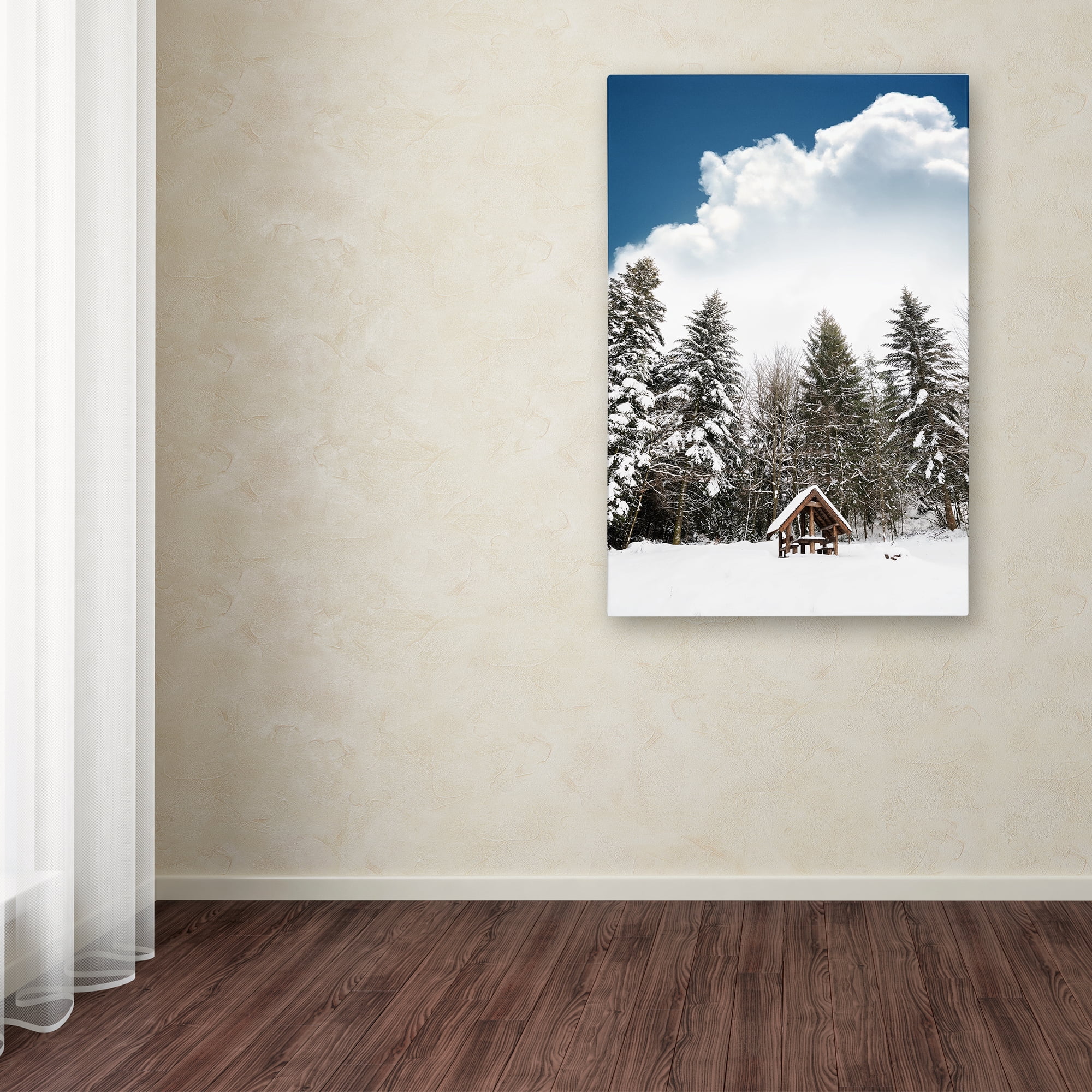 Trademark Fine Art 'Always Been' Canvas Art by Philippe Sainte-Laudy