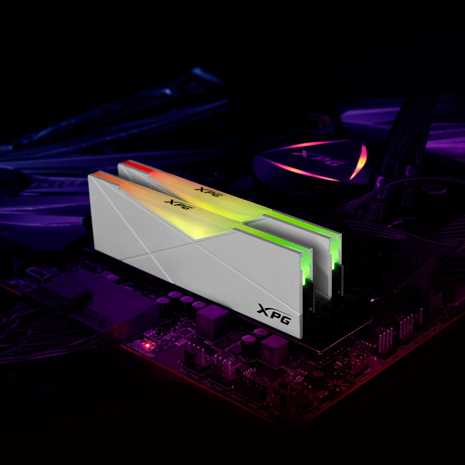 メモリー XPG SPECTRIX D50 DDR4 RGB MEMORY XPG 16GB SPECTRIX D50 DDR4 3200 MHz UDIMM RGB
