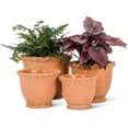 thumbnail image 4 of Extra Small Round Ruffled Planter, 4 of 4
