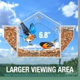 thumbnail image 4 of ZLight Window Glass Bird Feeder With Strong Suction Cups For Bird Enthusiasts Window Glass Bird Feeders, 4 of 6