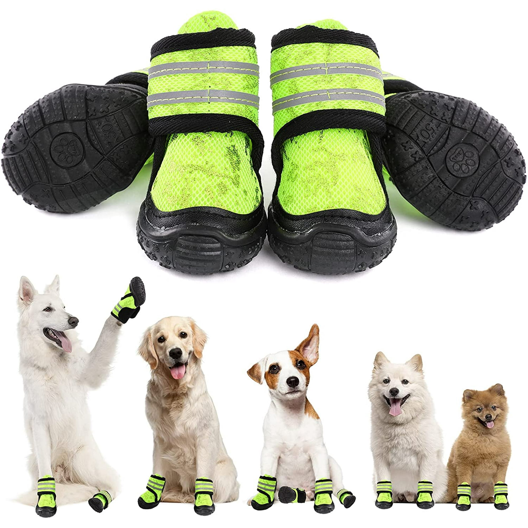 do dogs need boots for hiking