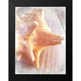 thumbnail image 2 of Saghini, Lisa Hill 12x14 Black Modern Framed Museum Art Print Titled - Conch II, 2 of 5