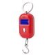 thumbnail image 1 of Báscula digital, mini báscula electrónica portátil de 25 kg/5 g, llavero de bolsillo, gancho de peso, durabilidad extendida Jadeshay A, 1 of 8