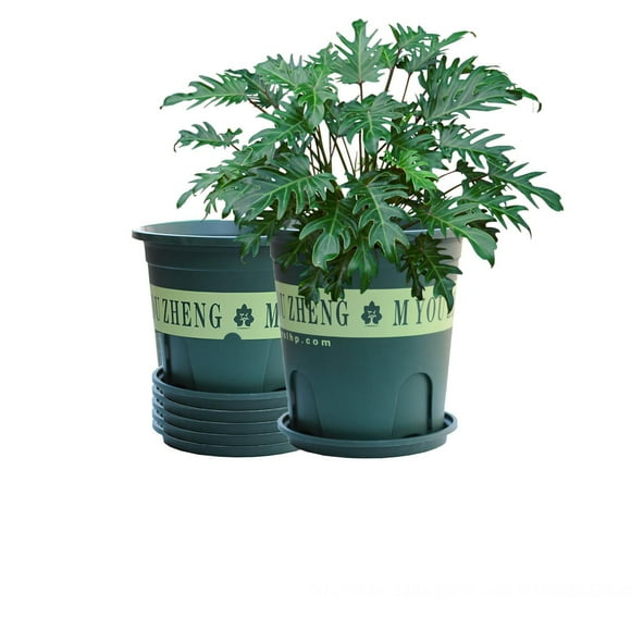 Jardinière en Plastique d'Un Gallon pour Plantes avec Trou de Drainage, Contenant de Pépinière pour Plantes d'Intérieur et d'Extérieur