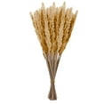 thumbnail image 1 of JWDX Artificial Flowers Clearance! Reed Dried Flower Bouquet Autumn Color 30 Pieces, 30Pc Dried Decoration Dried Flowers Vases Bouquet Boho Decoration Branches, 1 of 9