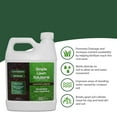 thumbnail image 3 of Liquid Aerating Soil Loosener- Aerator Soil Conditioner- No Mechanical or Core Aeration- Simple Lawn Solutions- Any Grass Type, All Season- Great for Compact Soils, Standing Water, Poor Dr, 3 of 3